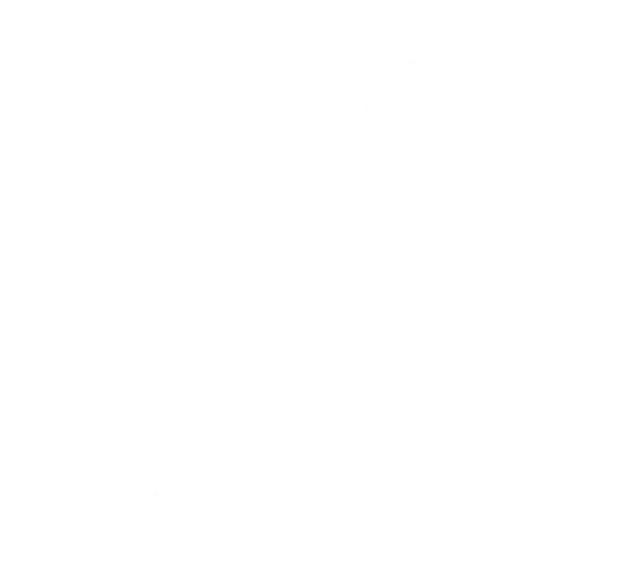 Varnika Logo